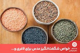 تصویر 4 از قیمت کنسرو عدسی 420 گرمی